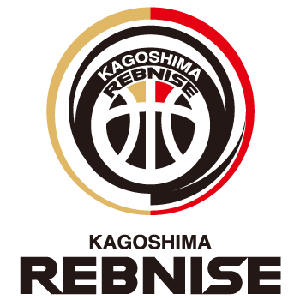 愛(ài)媛維京人