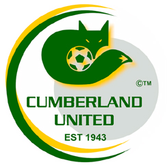 阿德萊德眼鏡蛇后備隊(duì)